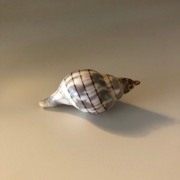 Seashell Pendant with Gold Fascinator for Necklace - Picture 4 of 5